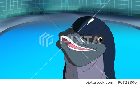 Smiling Dolphin in a pool 90822800
