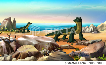 Komodo Dragon illustration Komodo Dragon illustration 90822809