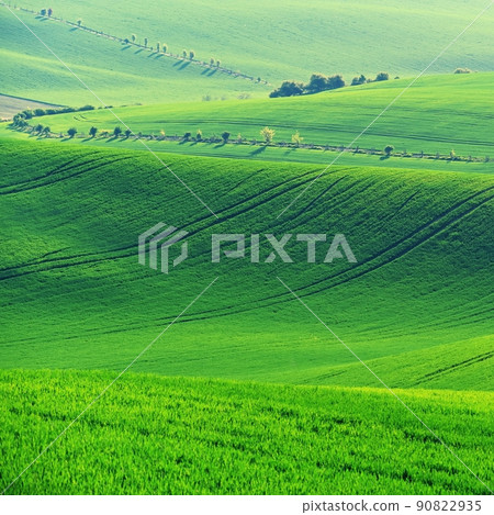 Beautiful landscape with spring nature. Waves on the field. South Moravia - Moravian Tuscany - Czech Republic Europe.. Beautiful landscape with spring nature. Waves on the field. South Moravia - Moravian Tuscany - Czech Republic Europe.. 90822935