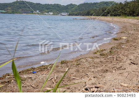 海灘 海灘 90823493