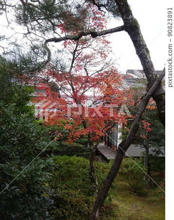 京都秋葉上的仁和寺 90823891