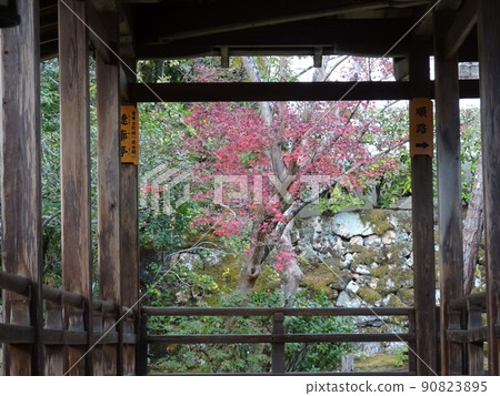 Ninna-ji Temple over the autumn leaves in Kyoto 90823895