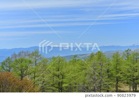 Marchen Road (R299) Crossing the Mt. Norikura Pass A distant view of Mt. Norikura from the Hinata Kiba Observatory on the Tateshina side Marchen Road (R299) Crossing the Mt. Norikura Pass A distant view of Mt. Norikura from the Hinata Kiba Observatory on the Tateshina side 90823979
