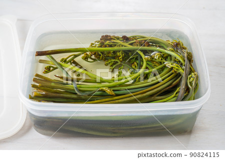 被移除並儲存在水中的蕨菜 90824115