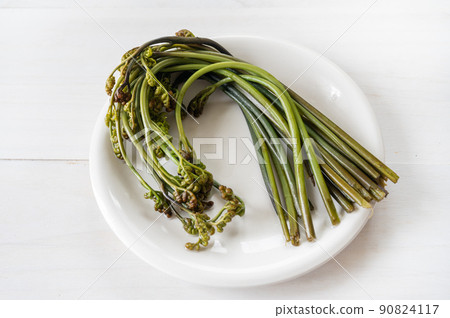 沒有鹼液的蕨菜 沒有鹼液的蕨菜 90824117