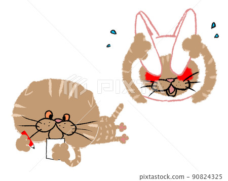 Tabby cat that hides its face with a rabbit headgear / Tabby cat that makes notes Tabby cat that hides its face with a rabbit headgear / Tabby cat that makes notes 90824325