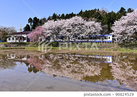 Cherry blossoms in full bloom and Noto Railway Cherry blossoms in full bloom and Noto Railway 90824529