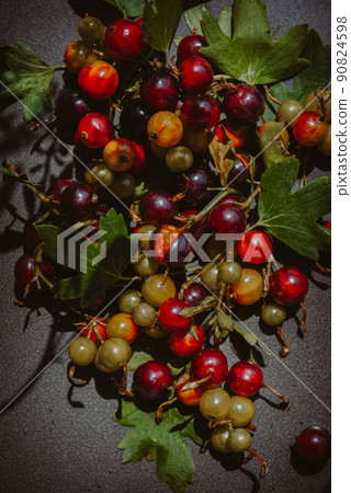 Lots of ripe colorful wild berries in sunbeams, lifestyle close-up. 90824598