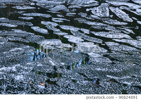 反映的森林 90824891