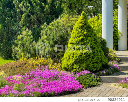Garden landscape design with flowering plants and ornamental evergreens. Gardening concept. 90824911