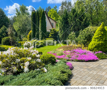 Garden landscape design with flowering plants, green lawn, ornamental evergreens and figured boxwood. Gardening concept. 90824913