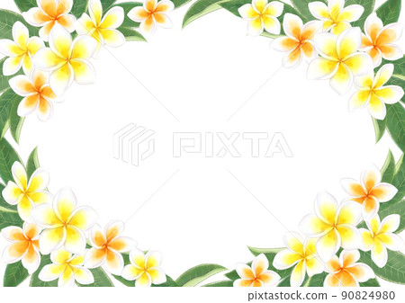 Flower watercolor illustration frame Plumeria Flower watercolor illustration frame Plumeria 90824980