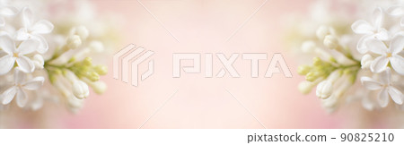 white lilac flower branch on a pink background with copy space for your text 90825210
