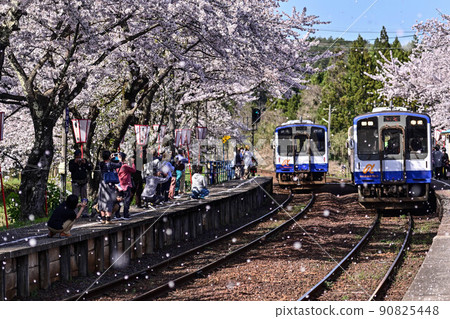 Noto Railway Sakura Station in full bloom 90825448
