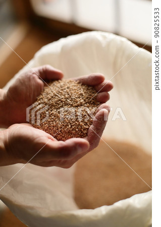 Saccharomyces cerevisiae for the production of discerning craft beer 90825533