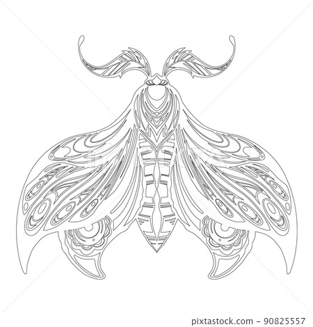 Vector contour drawing of a moth. Monochrome line art of a night butterfly with tracery decoration. Outline insect with ornamental wings Vector contour drawing of a moth. Monochrome line art of a night butterfly with tracery decoration. Outline insect with ornamental wings 90825557