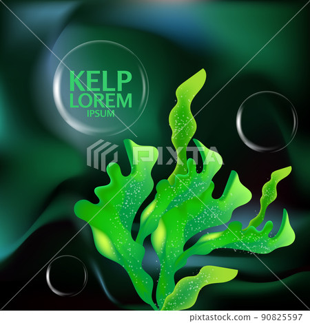 fresh Kelp seaweed salad sea food vector Illustration fresh Kelp seaweed salad sea food vector Illustration 90825597