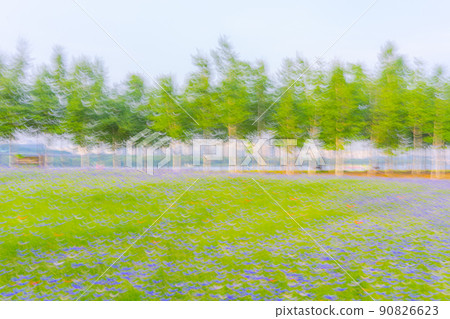 Spring in Hangang Park 90826623