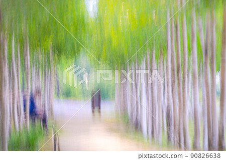 Spring in Hangang Park 90826638