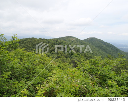 日台鳥山 日台鳥山 90827443