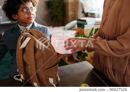 Close-up of girl packing lunch box in school bag for her little brother to send him to school Close-up of girl packing lunch box in school bag for her little brother to send him to school 90827526