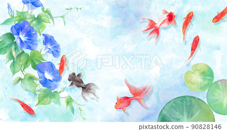 夏季圖像背景由金魚、牽牛花和睡蓮葉組成。水彩插圖。對炎熱的同情。有一條金魚的影子。 夏季圖像背景由金魚、牽牛花和睡蓮葉組成。水彩插圖。對炎熱的同情。有一條金魚的影子。 90828146