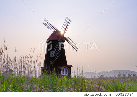 Sora wetland ecological park Sora wetland ecological park 90828384