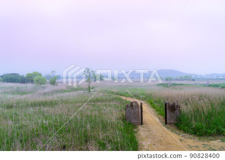 索拉濕地生態公園 索拉濕地生態公園 90828400