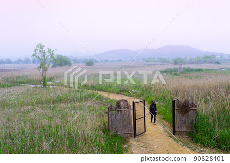 索拉濕地生態公園 90828401