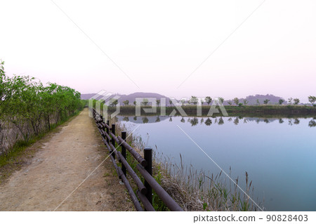 索拉濕地生態公園 索拉濕地生態公園 90828403
