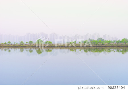 索拉濕地生態公園 90828404