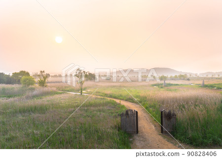 索拉濕地生態公園 索拉濕地生態公園 90828406