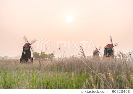 索拉濕地生態公園 索拉濕地生態公園 90828408