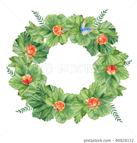 Cloudberry wreath with leaves, berries and butterfly. isolated on white background. watercolor hand drawn illustration. ideal for cards and invitaton design. Cloudberry wreath with leaves, berries and butterfly. isolated on white background. watercolor hand drawn illustration. ideal for cards and invitaton design. 90829132