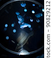 The girl who looks beyond the jellyfish 90829212