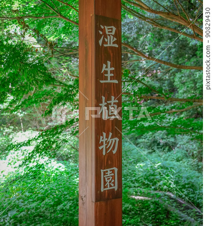 Higashitakane Forest Park Wet Botanical Garden Information Board (Kawasaki City, Kanagawa Prefecture) 90829430