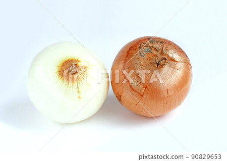 Onion (Sara Tama-chan) 90829653