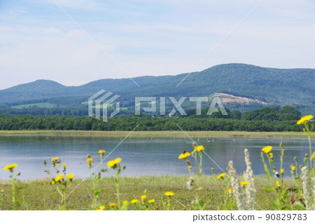 北海道紋別市小穆湖 90829783