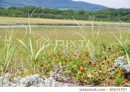 北海道紋別市小穆湖 90829787