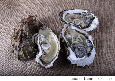 Oysters on bagging 90829948