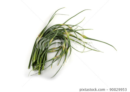 Garlic arrows Garlic arrows 90829953