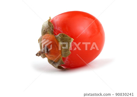 Persimmon Persimmon 90830241