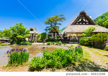 Shirakawa-go, a temple with a thatched roof, Myozenji 90831096