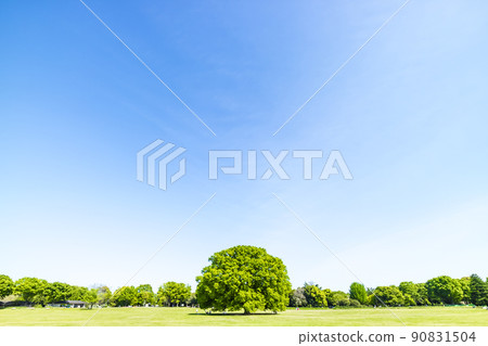 與綠色和藍天的風景 90831504