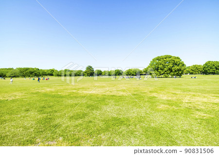 Landscape with green and blue sky Landscape with green and blue sky 90831506