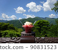 Blue sky, dark green and dessert 90831523