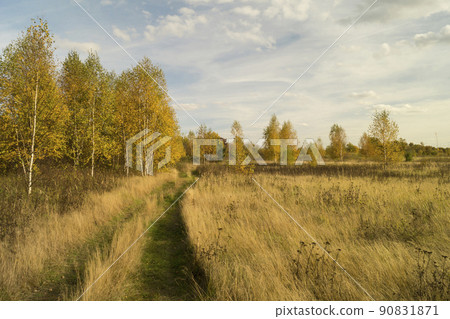 Autumn landscape on background sky Autumn landscape on background sky 90831871