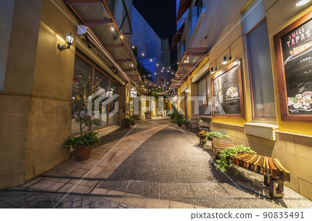 Kawasaki La Cittadella Illuminated Shopping Mall [神奈川縣川崎市] 90835491