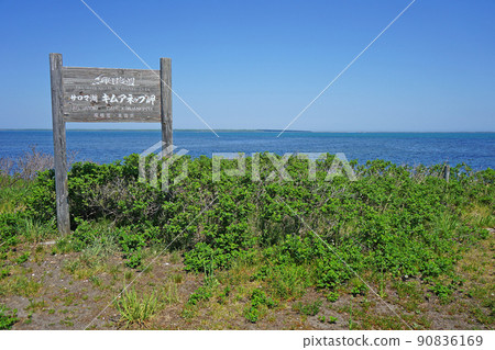Hokkaido Kimuaneppu Cape Hokkaido Kimuaneppu Cape 90836169