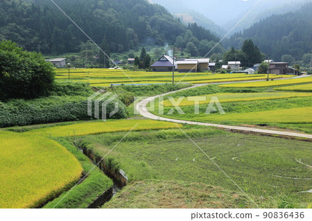 Sustainable agriculture (rural areas in the mountains) 90836436